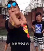 你就是歌姬吧什么意思？虎哥表情包