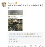 张子枫高考成绩多少分，她为什么被黑？