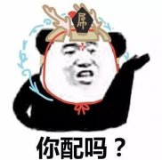 你配吗你也配怎么怼回去？你配吗表情包