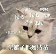 贴贴是什么意思？贴贴表情包gif