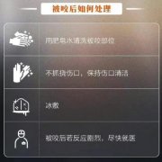 红火蚁怎么快速消灭？用什么药可以杀死