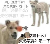 啊这是什么,失忆喷雾,喷一下是什么意思？表情包出处