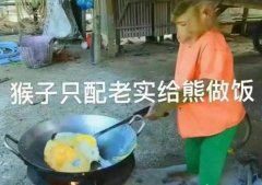 猴子只配给熊做饭什么意思？表情包