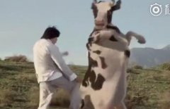 成龙和奶牛对打叫什么电影？