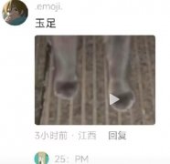 网络梗玉足是什么意思？