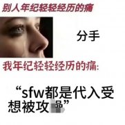 sfw在饭圈是什么意思？多种含义