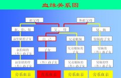 孙子和外孙谁血缘近？外孙算后代吗